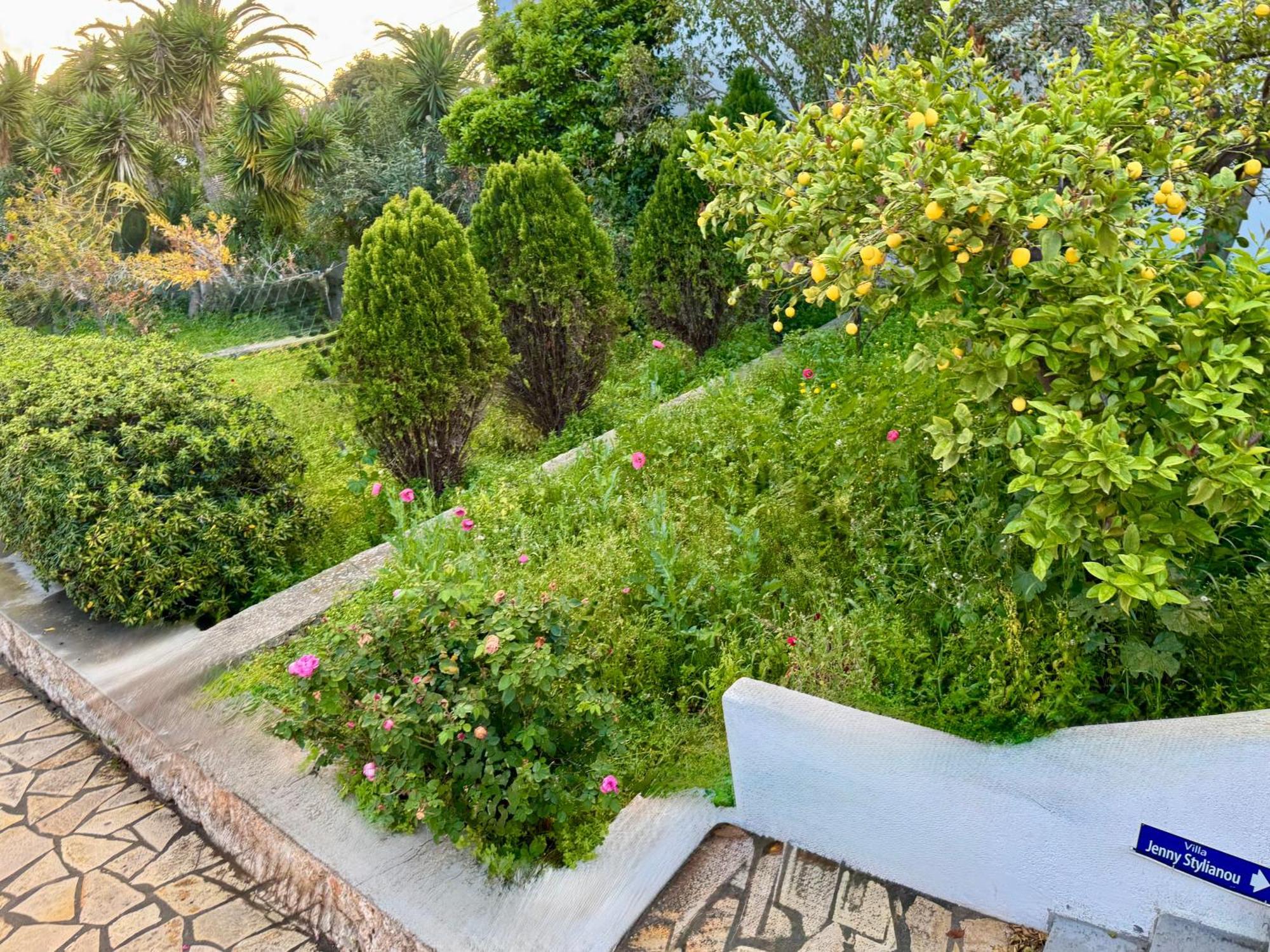 Villa Jenny Stylianou Spetses Town Exterior photo